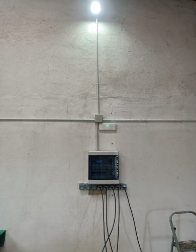 electro cuerda