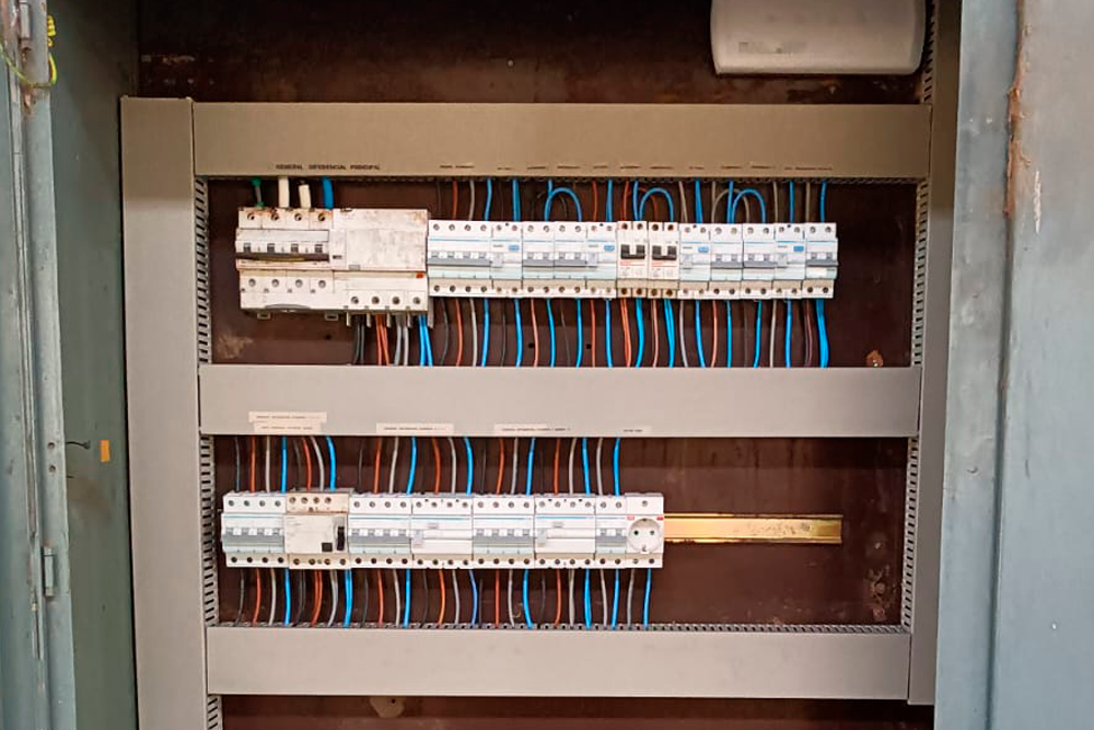 electro cuerda