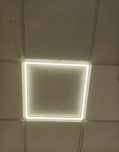 electro cuerda